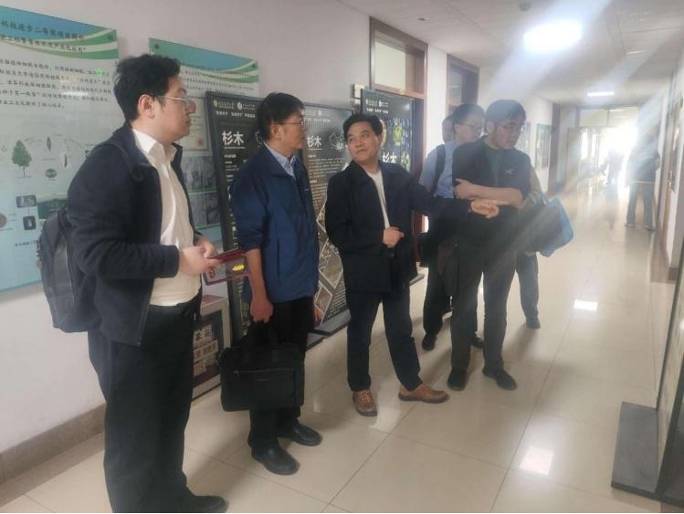 图片2_95170图片2